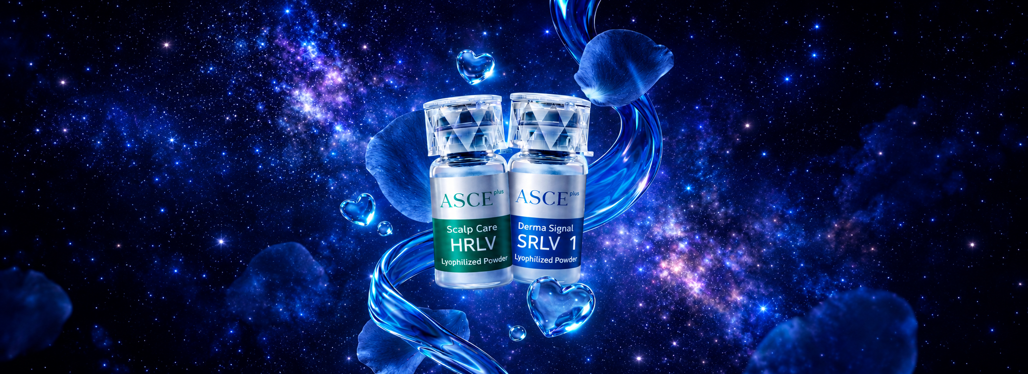 Asce Plus