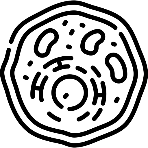 Estimulación del metabolismo celular