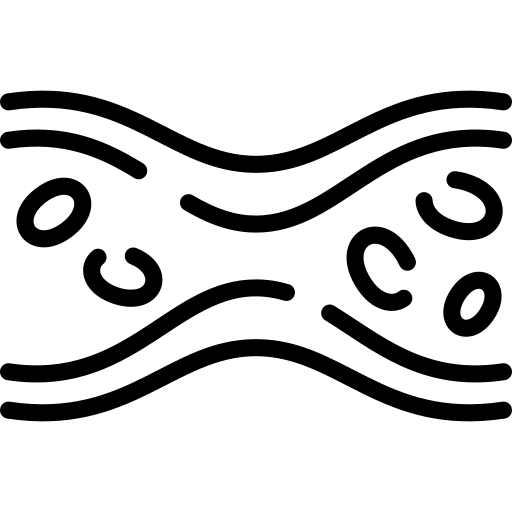 Estimulación de la microcirculación (sangre/linfa)